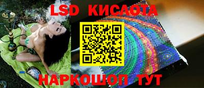 гидропоника Бузулук